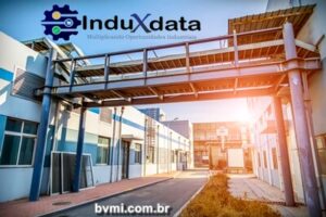 BRF, Minerva e Marfrig lideram investimentos milionários no mercado halal