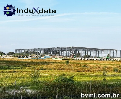 Obra Industrial de US$ 200 milhões da Bauducco avança nos EUA - Agosto 2025 - Investimento Industrial - Construção Industrial - Novo Projeto Industrial - Brasil - Indústria de Alimentos - InduXdata